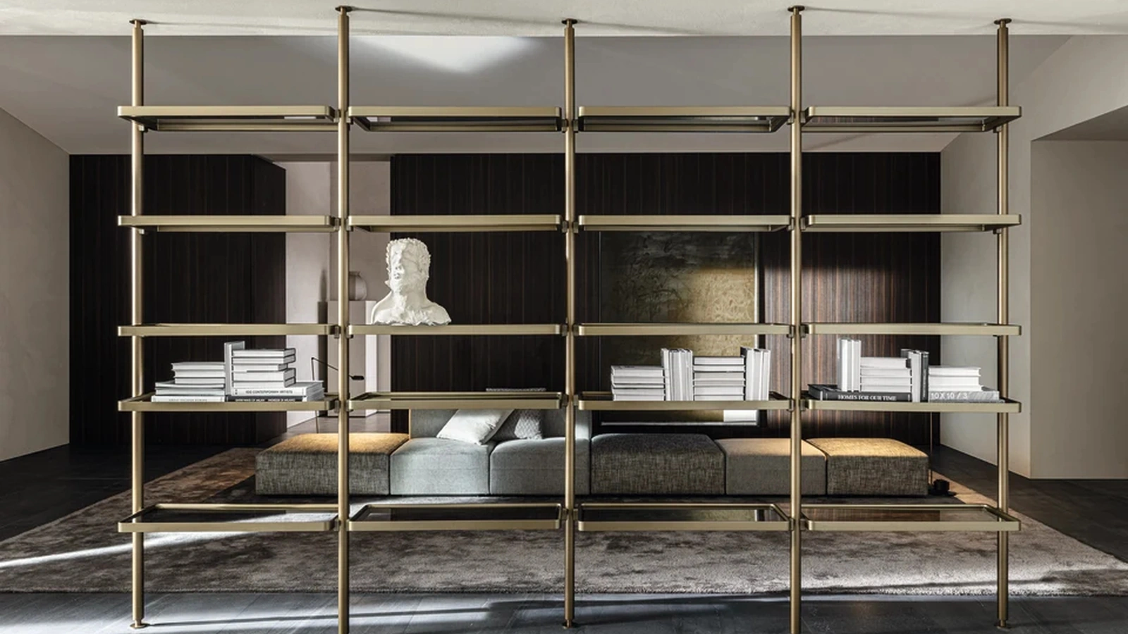 Molteni & C markasından alüminyum Hector bölme kitaplık