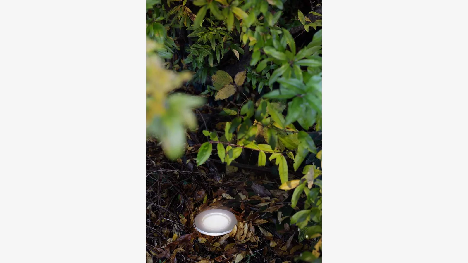 ILTI ışığın dış mekan lambası Lux Floor