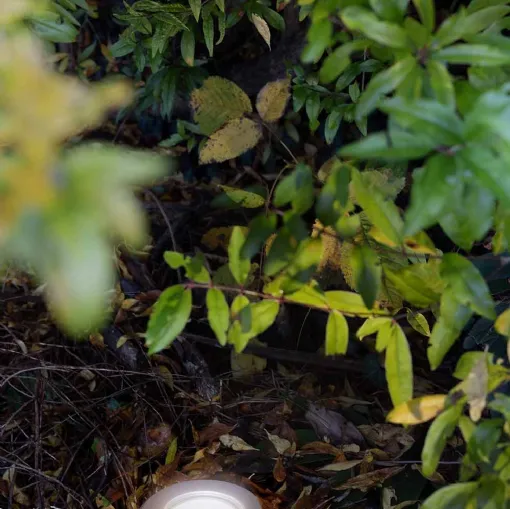 ILTI ışığın dış mekan lambası Lux Floor