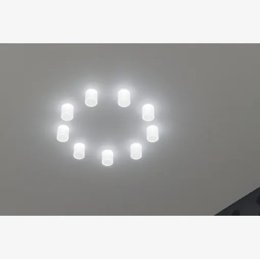 Reggiani'in Mood Pro Sabit Yuvarlak Tavan Lambası.