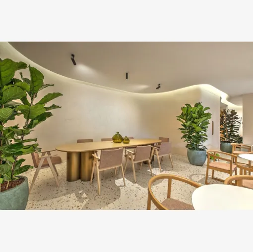 ILTI ışığın Elba Tavana Lamb