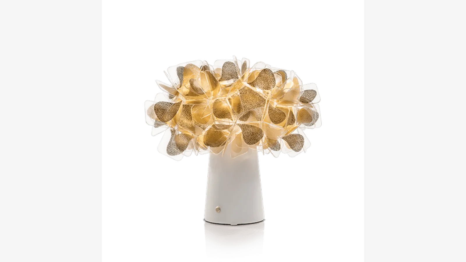 traduzione non possibile