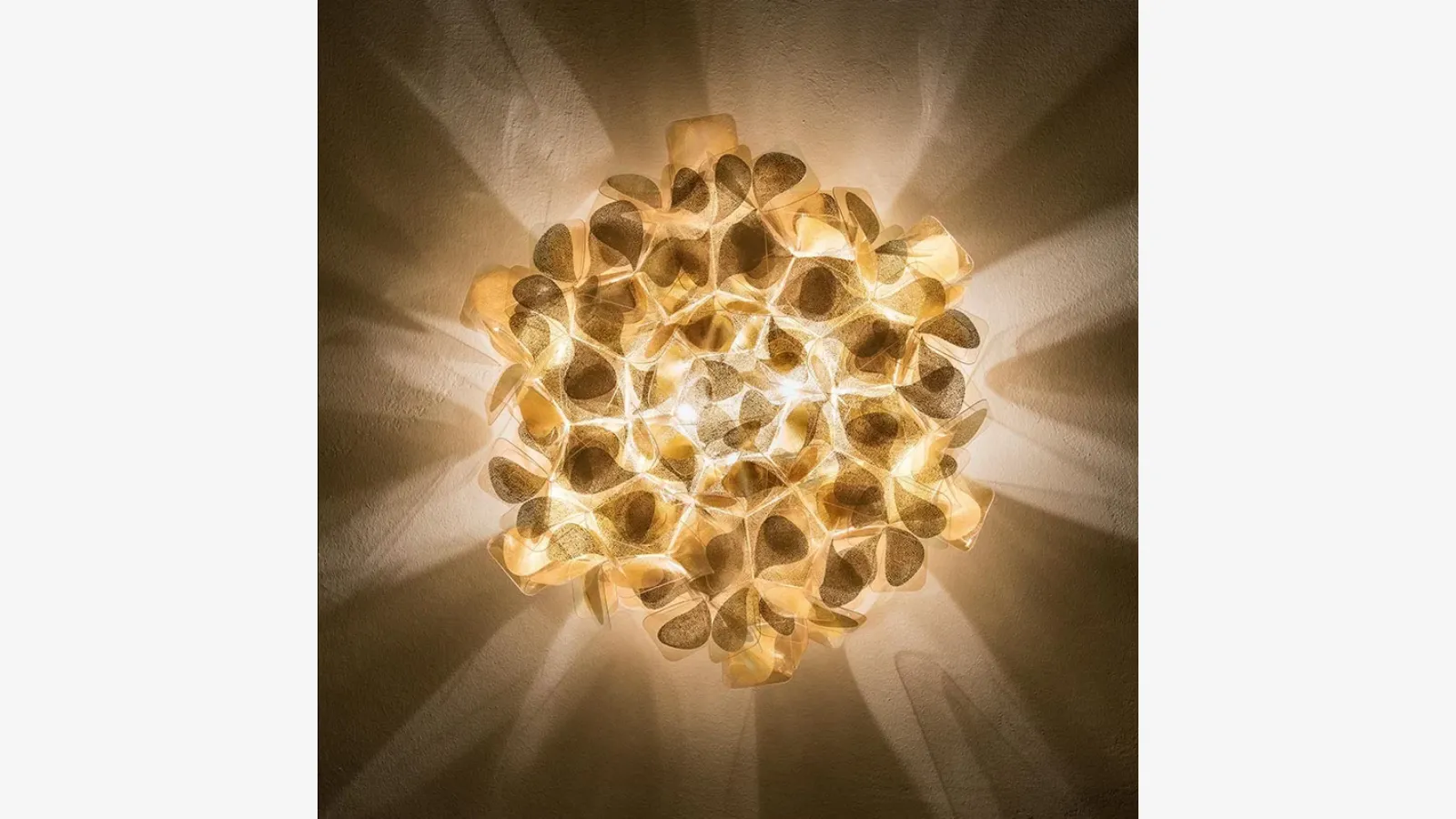 traduzione non possibile