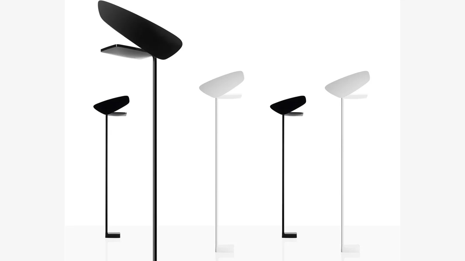 traduzione non possibile