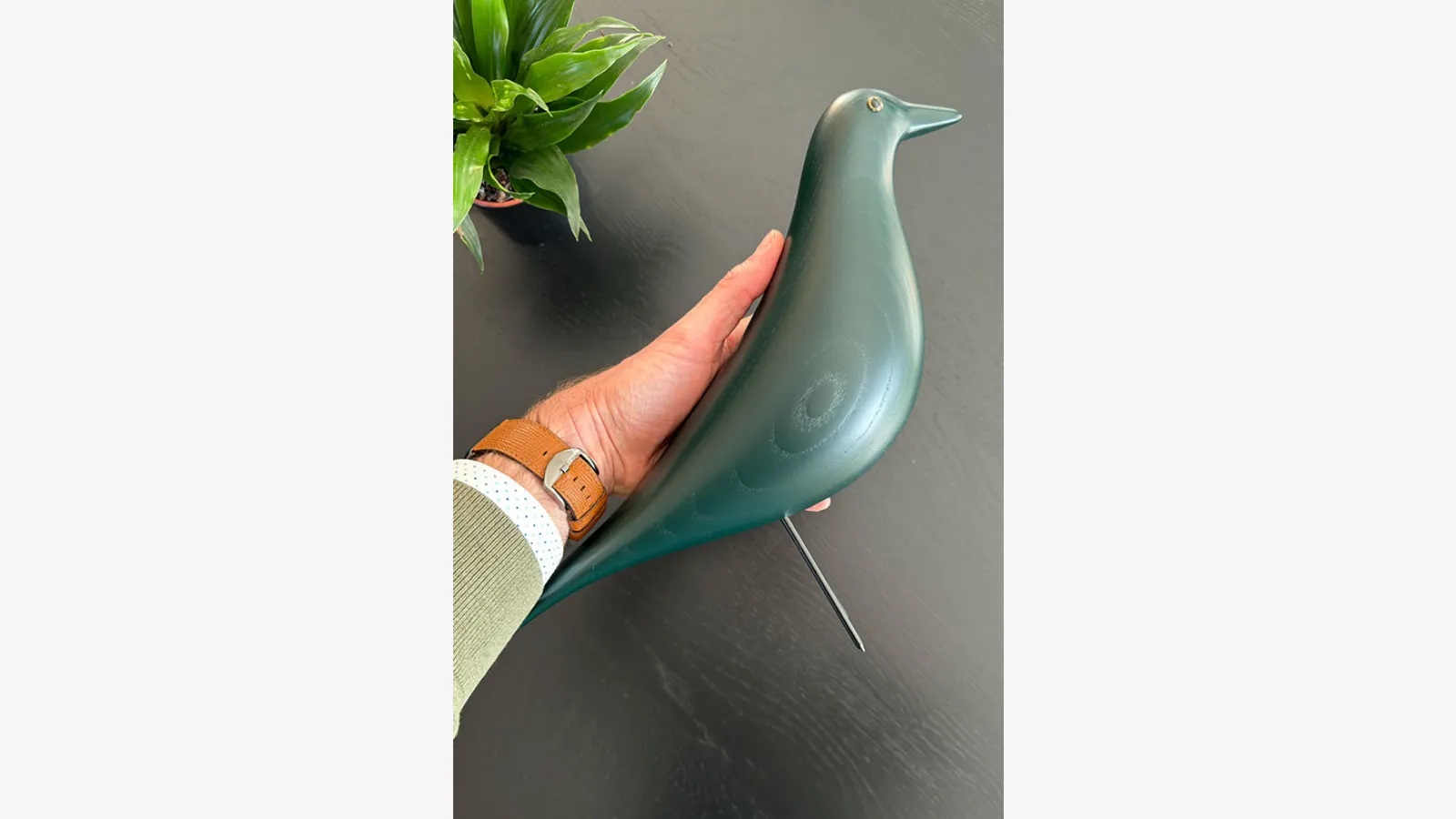 traduzione non possibile