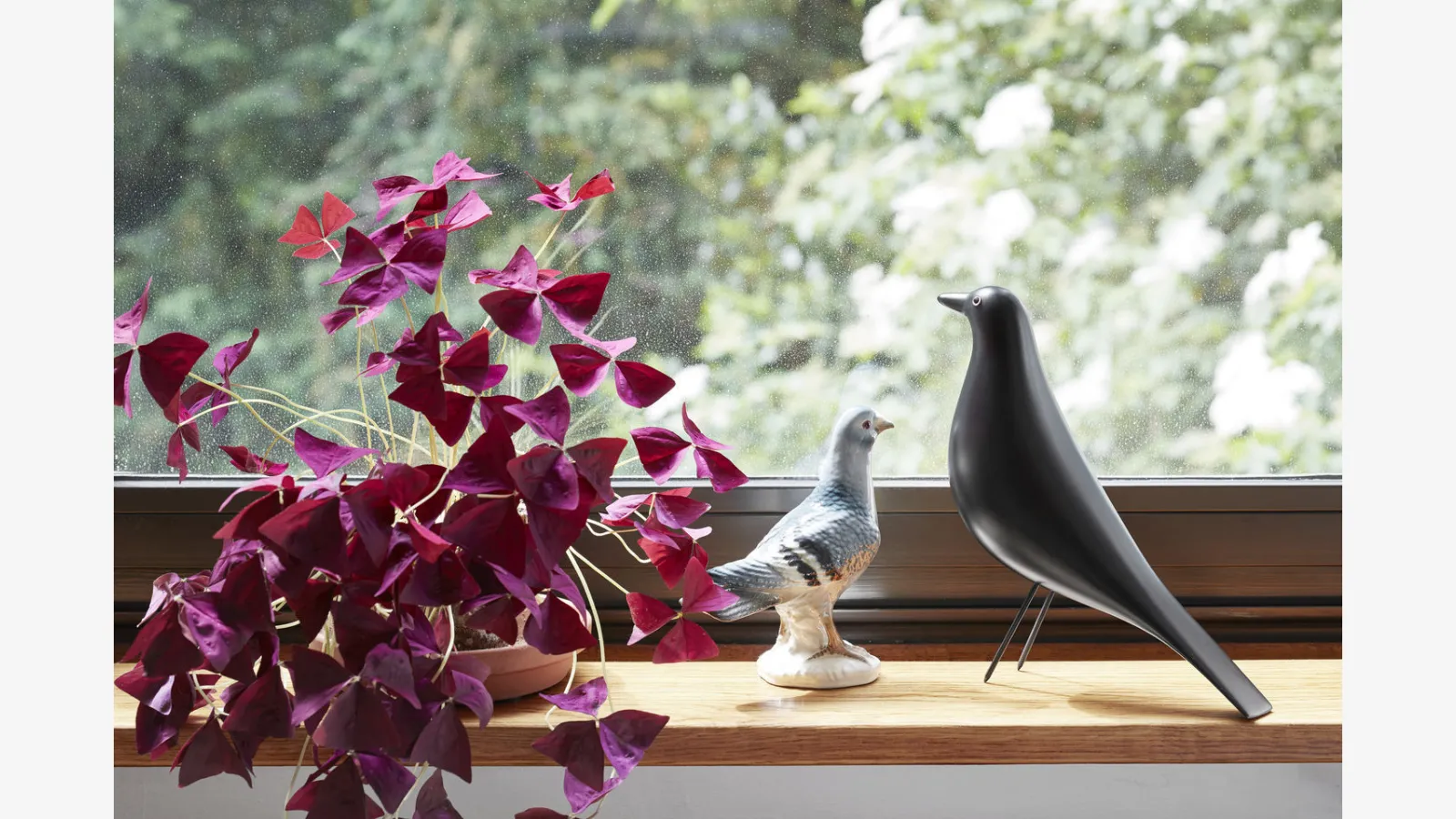 traduzione non possibile