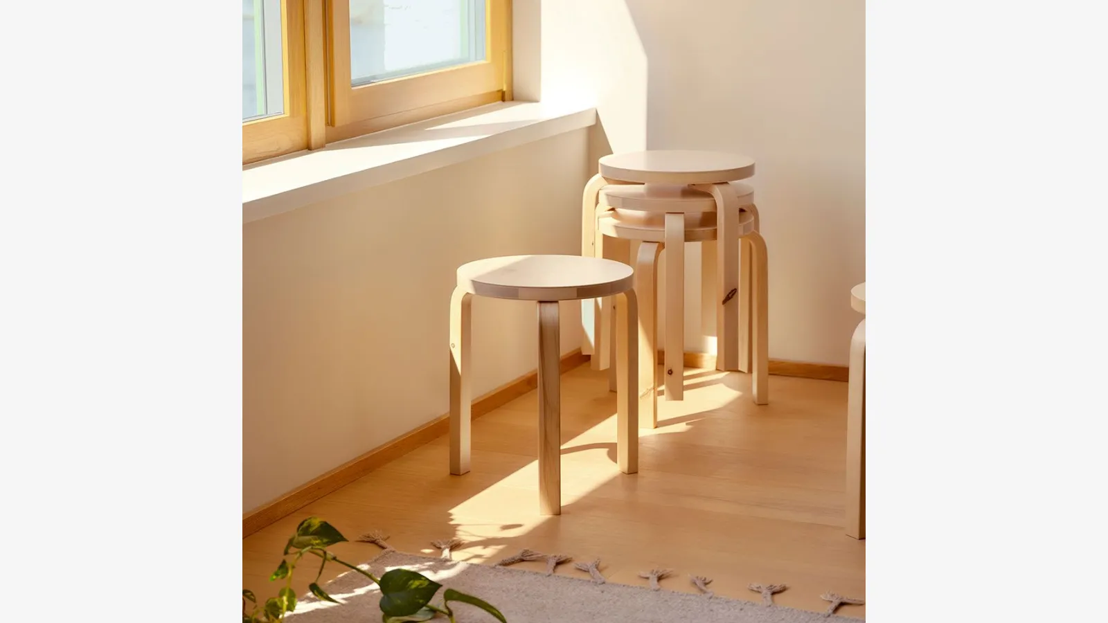 traduzione non possibile