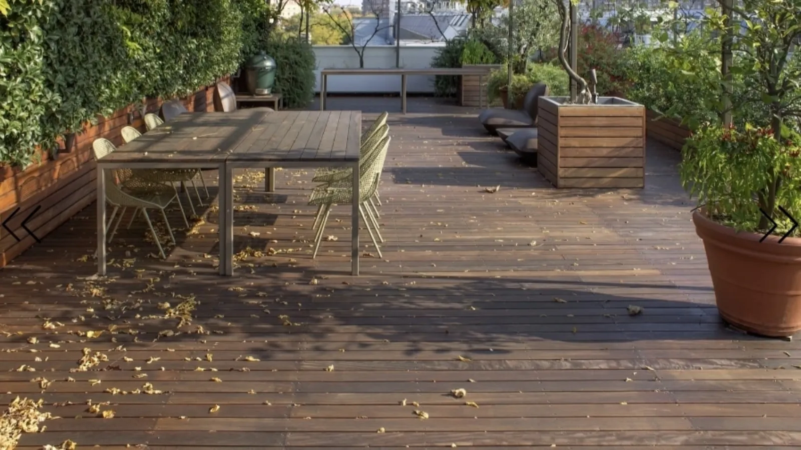 Deco'nun Ipe Lapacho par